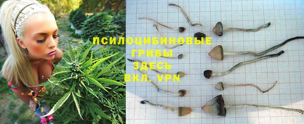 a pvp Вязьма
